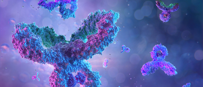 Antibodies to watch in 2026