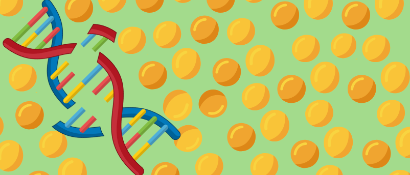 Berry good news: CRISPR editing optimizes goldenberries for large-scale farming