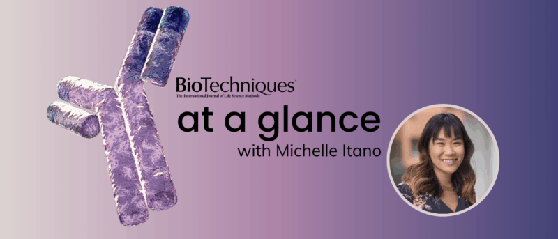 The journal at a glance: Q4 highlights from our Editor in Chief