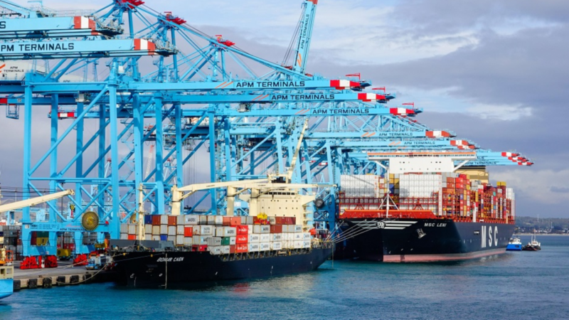 ‘Broadside’ Mirai Variant Targets Maritime Logistics Sector