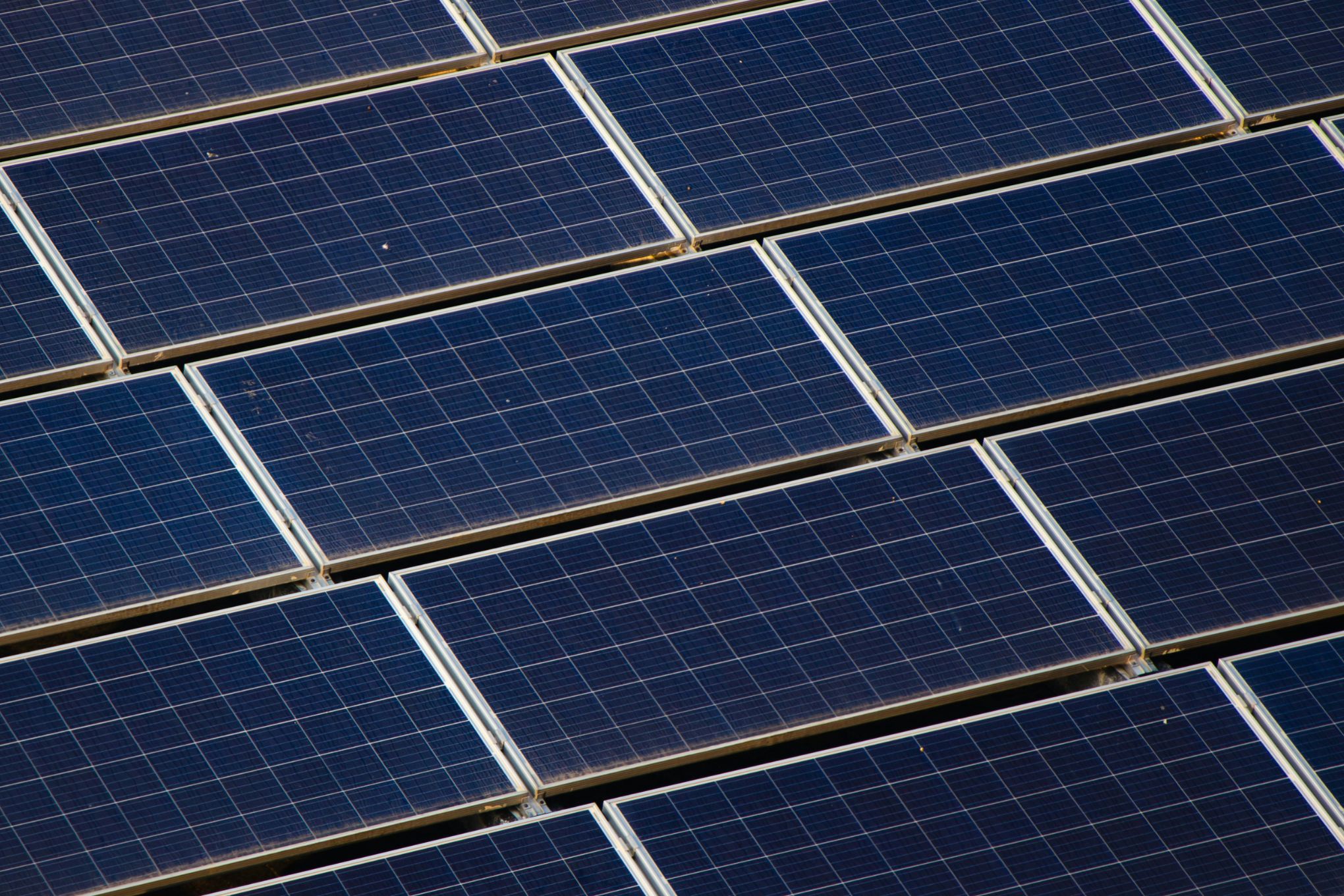 NC solar sector at crossroads after federal funding cuts