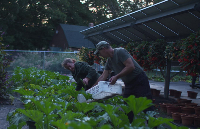 Agrivoltaics developer brings Stanford modeling platform in-house to build better solar + crops