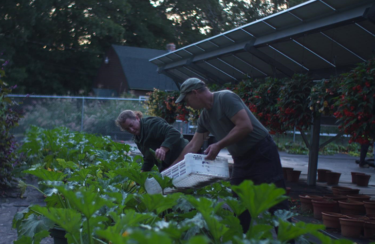 Agrivoltaics developer brings Stanford modeling platform in-house to build better solar + crops