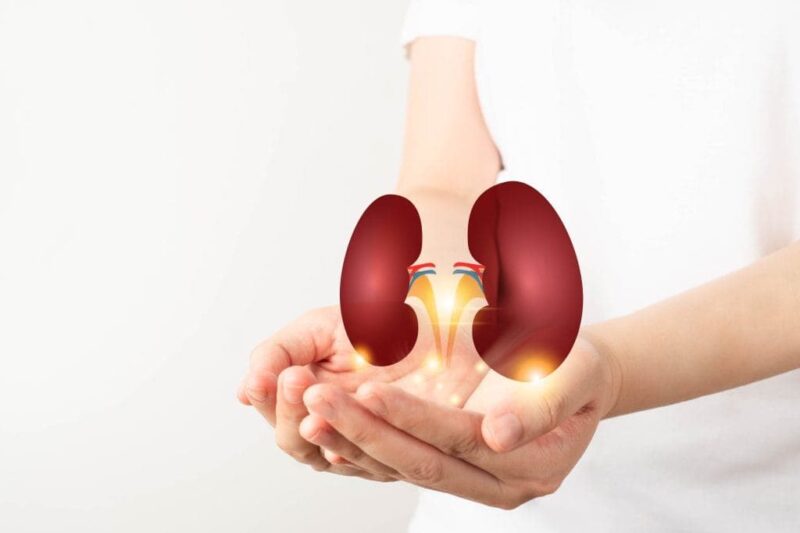 Evotec and Bayer announce new kidney disease study