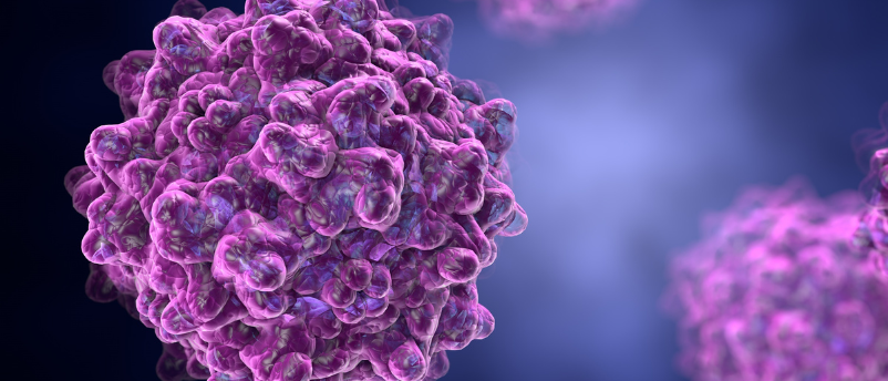 Reference standards improve AAV production