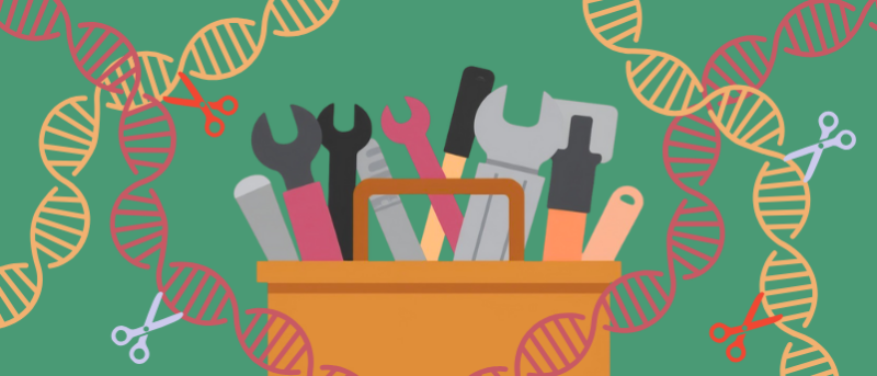 Expanding the CRISPR toolbox: new mechanism could push boundaries of gene editing