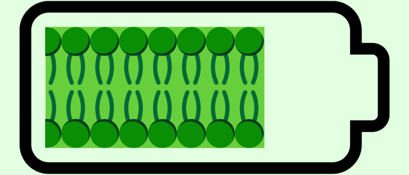 Cell batteries: condensates charge the membrane
