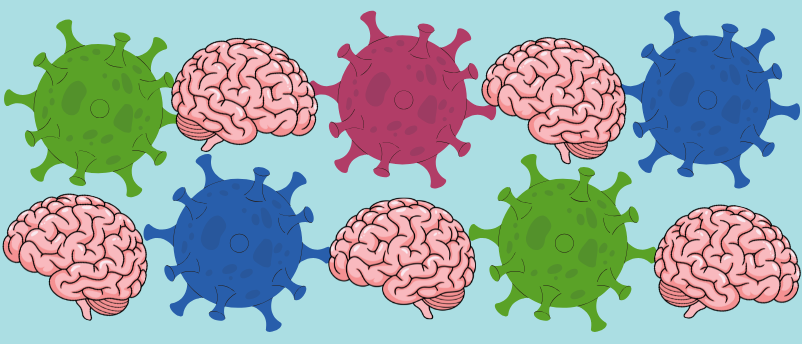 How does Epstein-Barr virus trigger MS in some people?