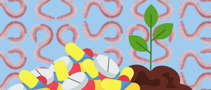 Earthworms vs antibiotic resistance: an unexpected ally?