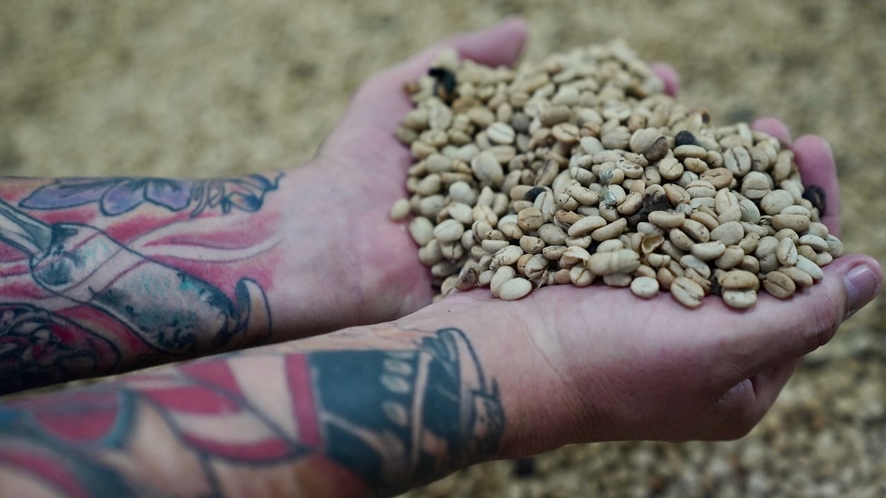 How First Watch brews coffee with a purpose through Project Sunrise initiative