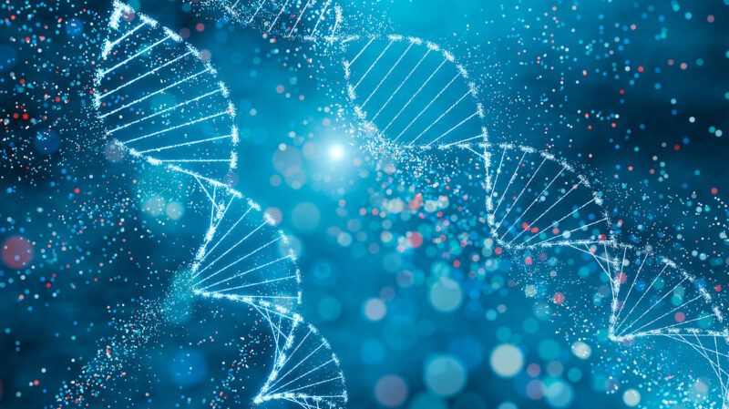 Multilevel Genomic Analysis Links Schizophrenia and Osteoporosis