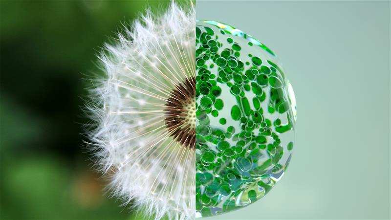 First Cohort Revealed for L’Oréal’s Sustainable Innovation Program