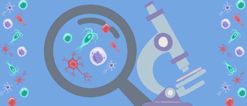 Visualizing the invisible: 5 recent breakthroughs in microscopy