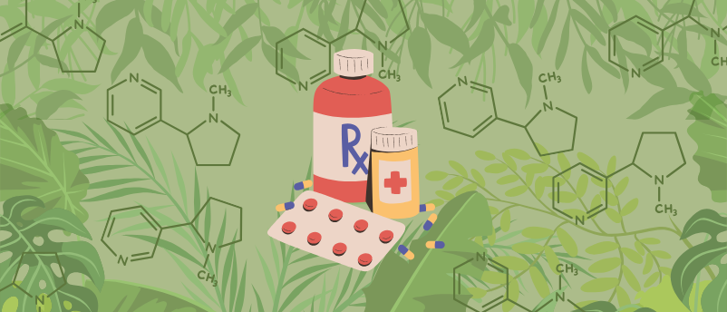 Nature’s medicine cabinet: alkaloid biosynthesis breakthrough may plant seed for drug discovery