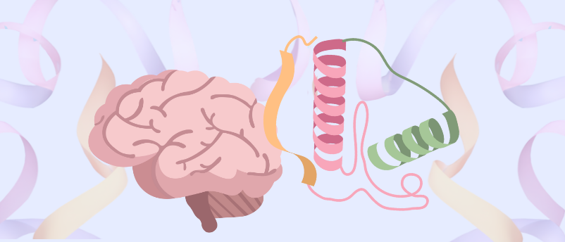 Untangling the structure of tau’s ‘fuzzy coat’ (spoiler: it’s like a burrito)