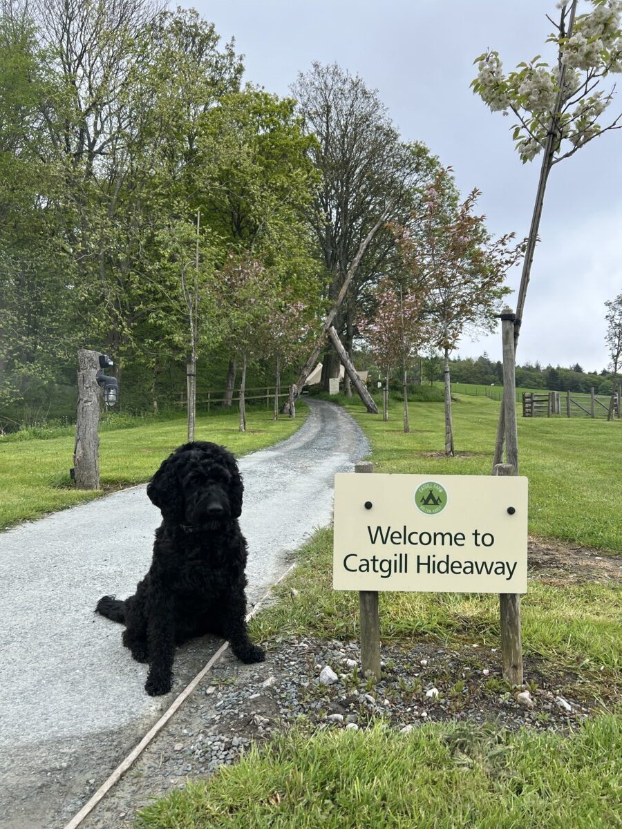 NEW FOR 2026: CATGILL FARM UNVEILS NEXT-LEVEL DOG-FRIENDLY GLAMPING POD IN THE YORKSHIRE DALES
