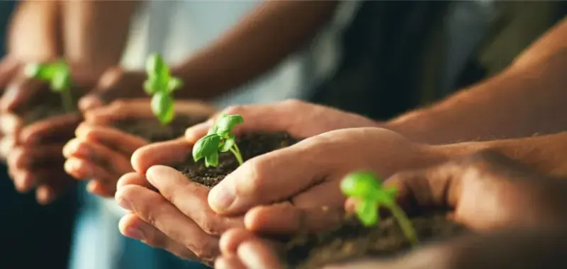 Building more sustainable cold chain packaging through innovation