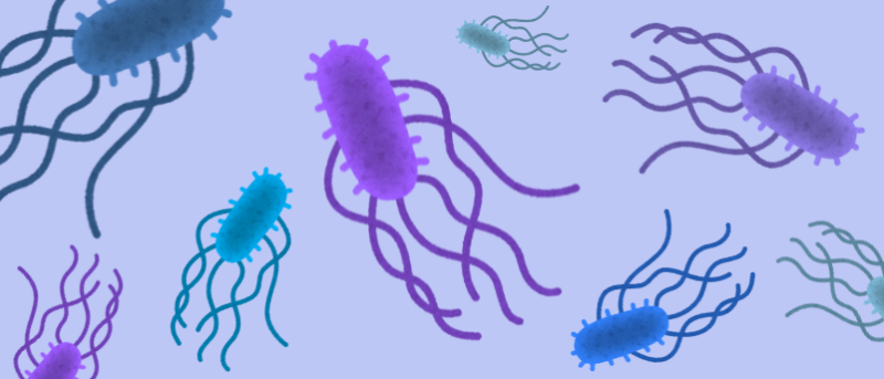 A new explanation for how bacteria swim