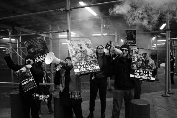 Animal-free fashion's shifting landscape: 2025 milestones, 2026 expectations