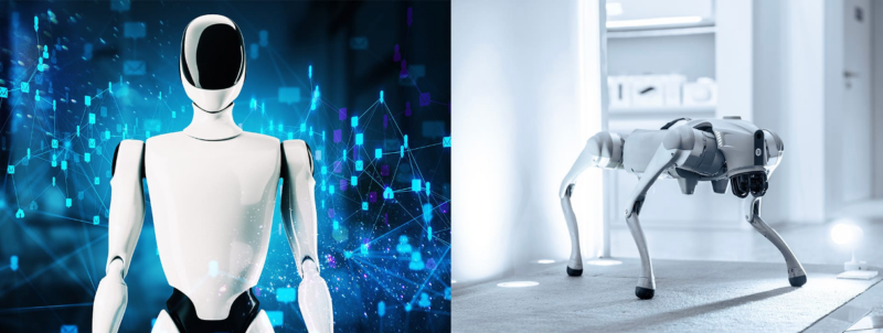 Report: automation sector sets safety standards for humanoid robots