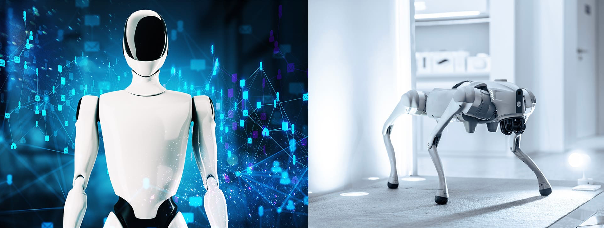 Report: automation sector sets safety standards for humanoid robots