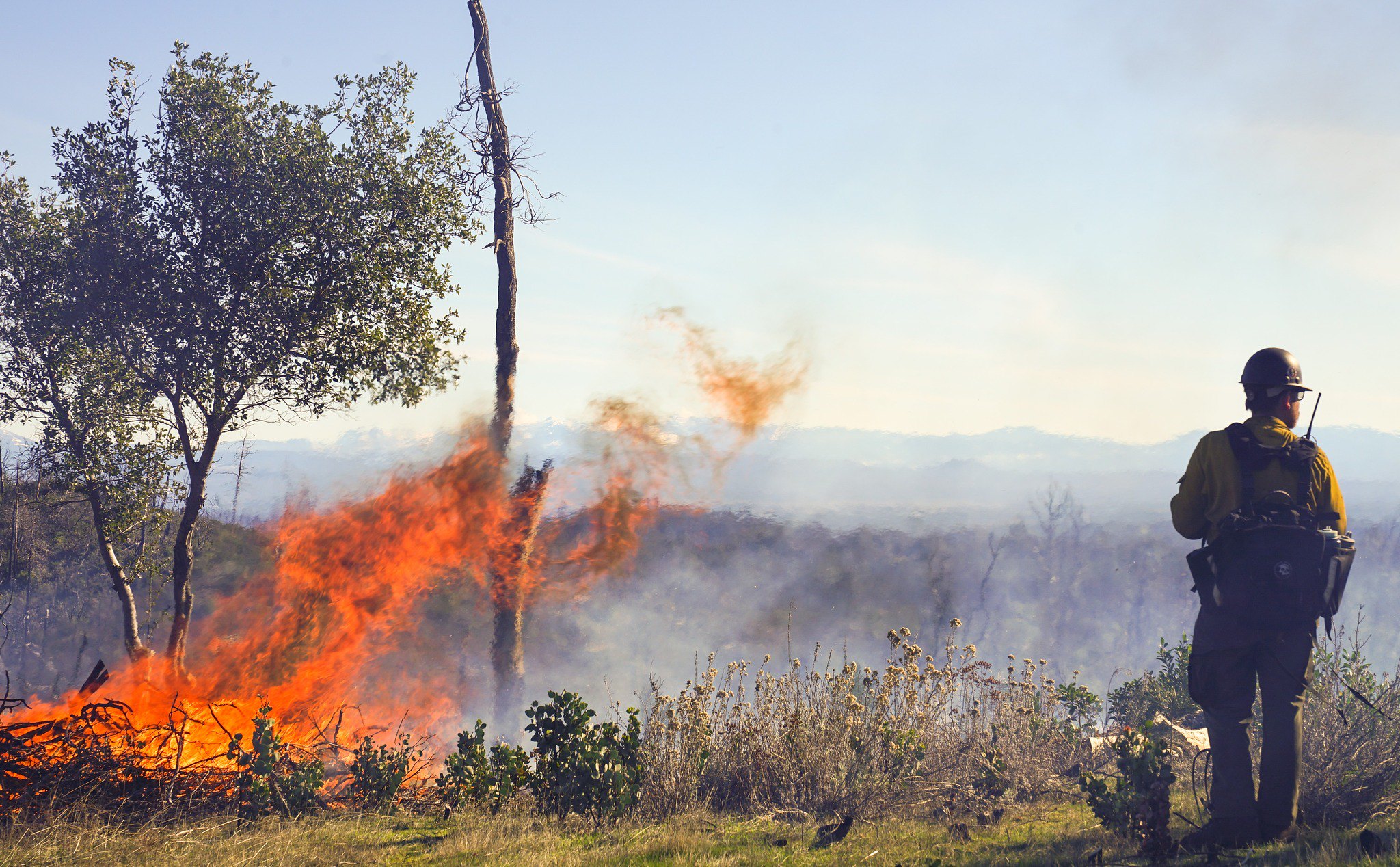 Schneider Electric unveils new grid, transmission solutions to maintain power during severe weather and wildfires