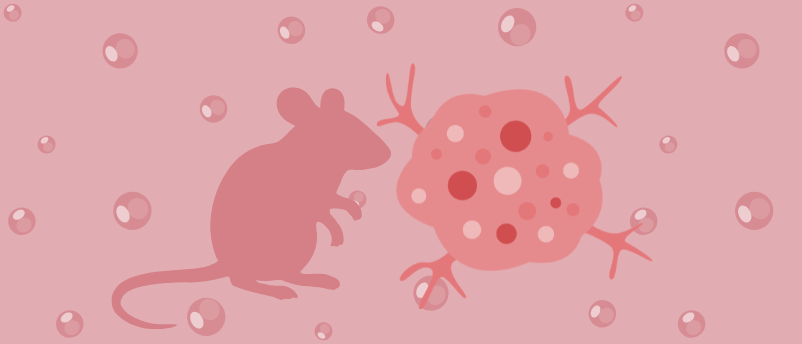 Antioxidant nanoparticles may protect male fertility during chemotherapy