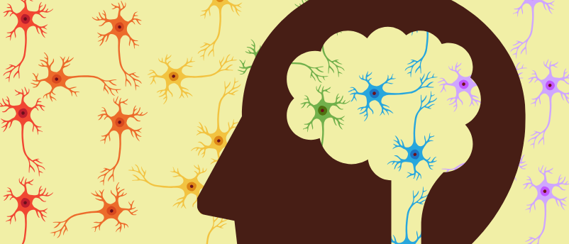 What is connectomics? How microscopy and AI have combined to revolutionize neuroscience