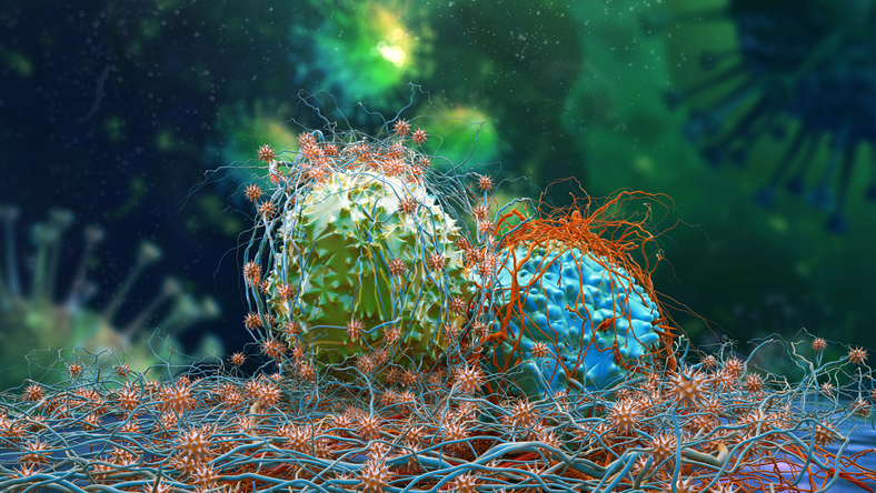 Grail’s Galleri Blood Test Falls Short in Large Cancer-Screening Study, Shares Sink 50%