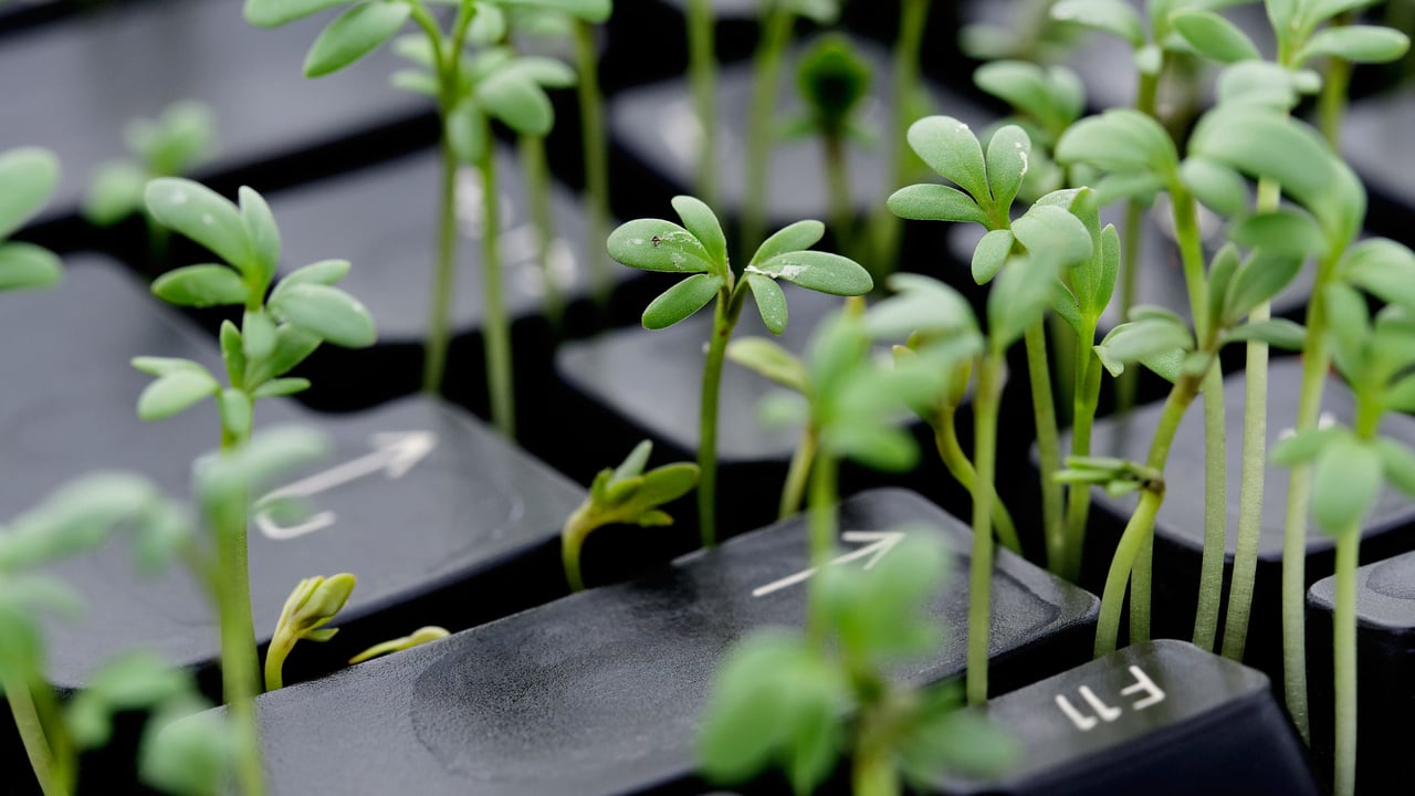 Top Cyber Industry Defenses Spike CO2 Emissions