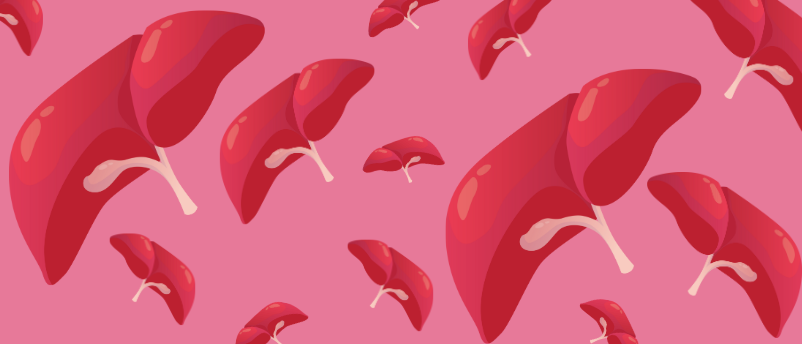 New tissue model may inspire drugs to treat liver disease