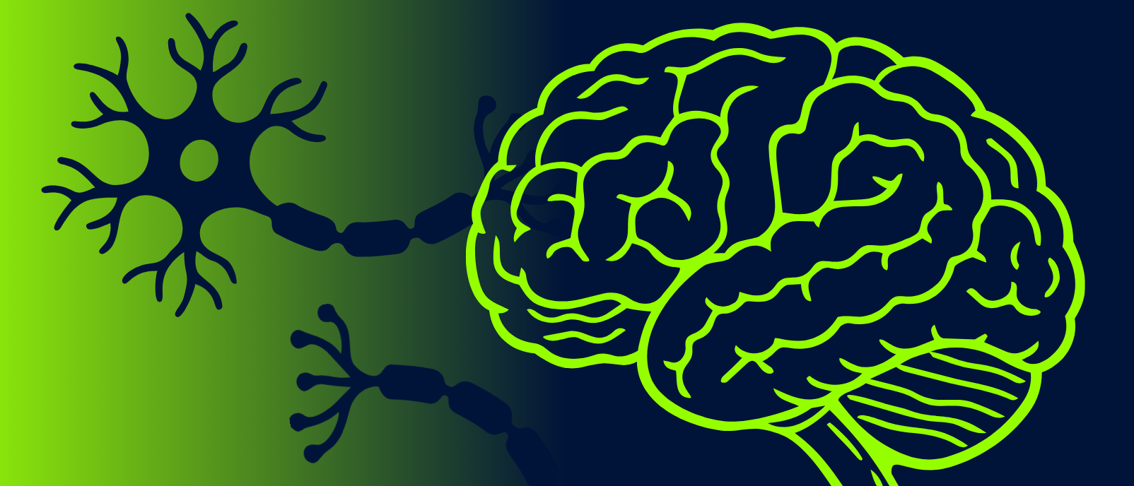 Going through changes: spatial technology reveals pubescent RNA regulation in the brain