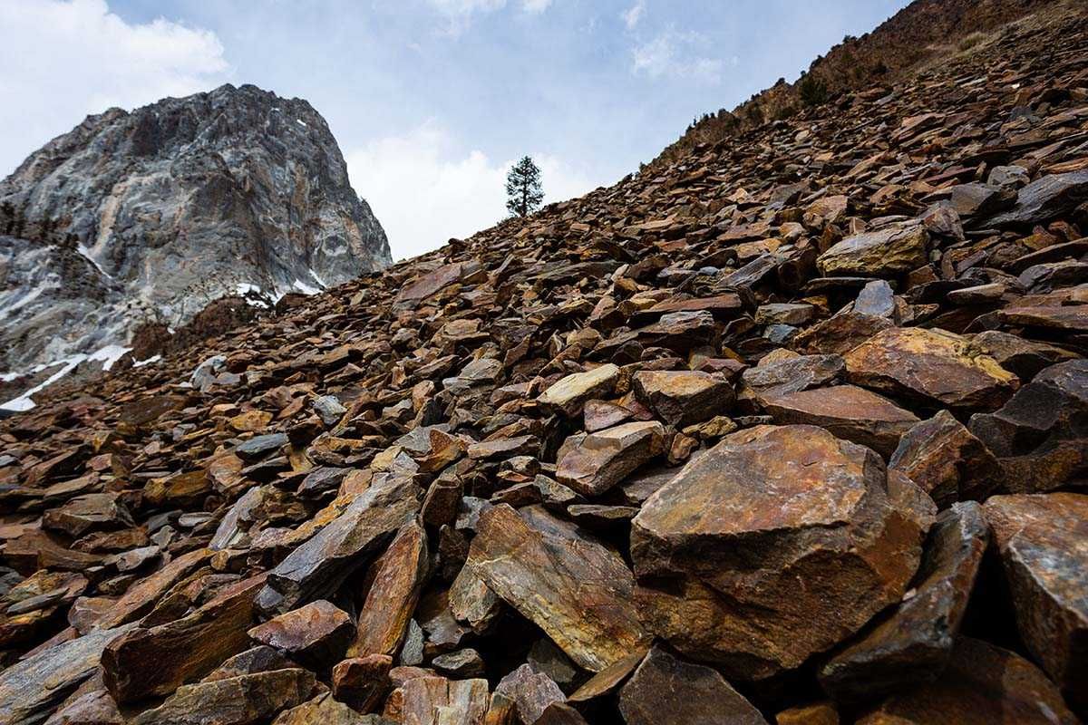 Critical mission: An interview with Brodie Sutherland