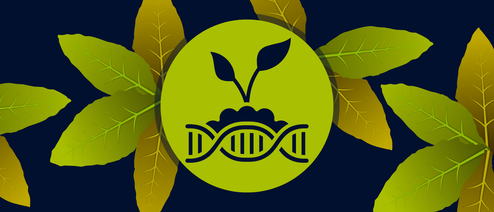 Genome shock neutralizes hybrid lethality in plants