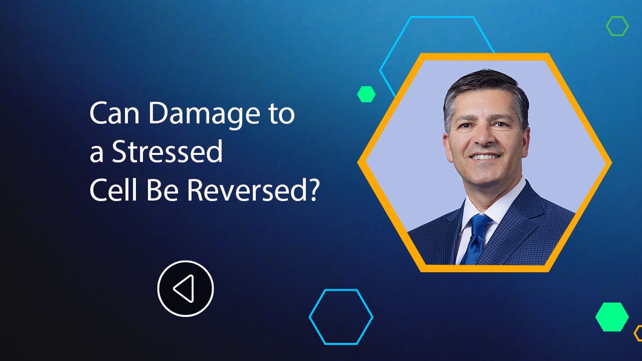 <![CDATA[Can Damage to a Stressed Cell Be Reversed?]]>