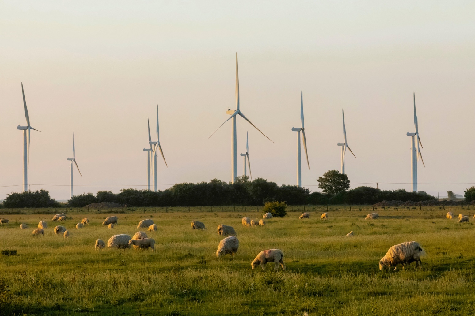 Q&A: What England’s new ‘land-use framework’ means for climate, nature and food