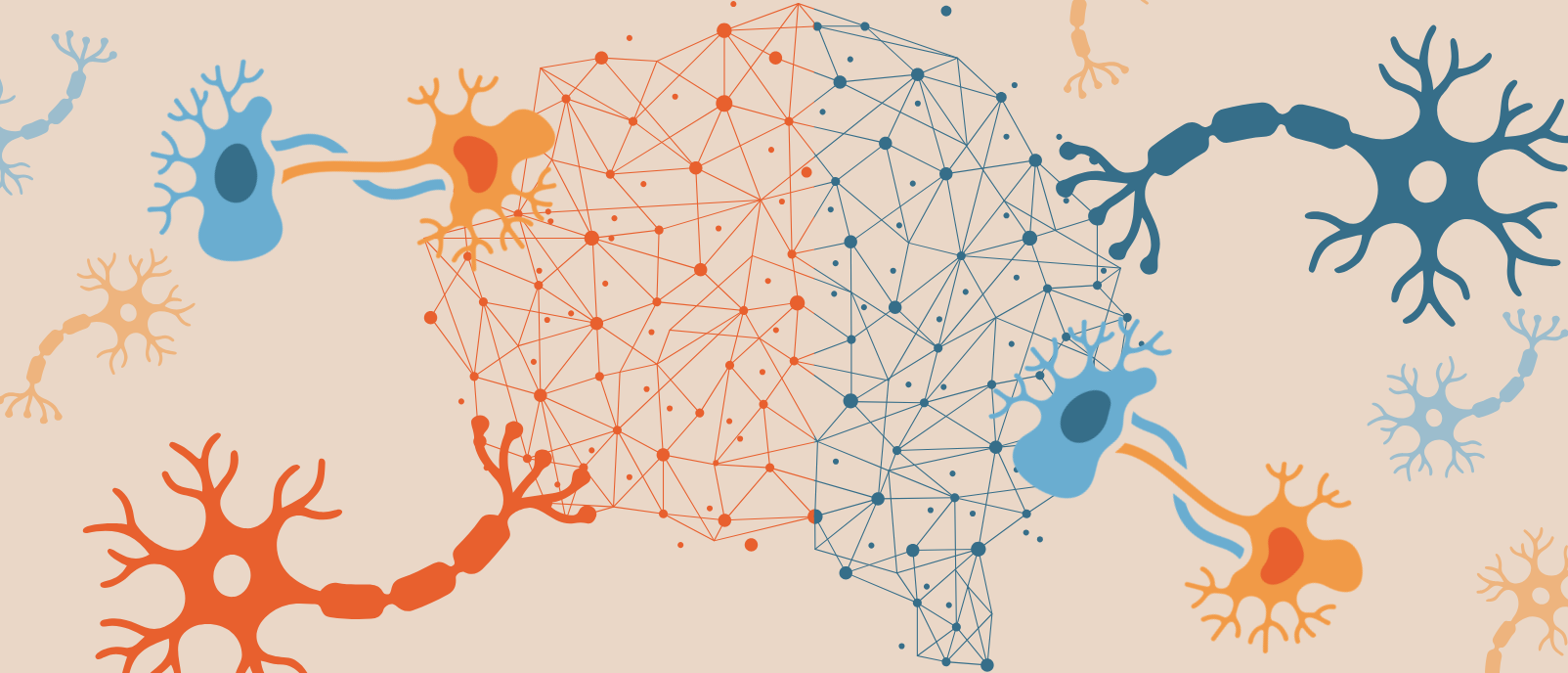 Integrating computational and experimental techniques to decipher neuronal heterogeneity