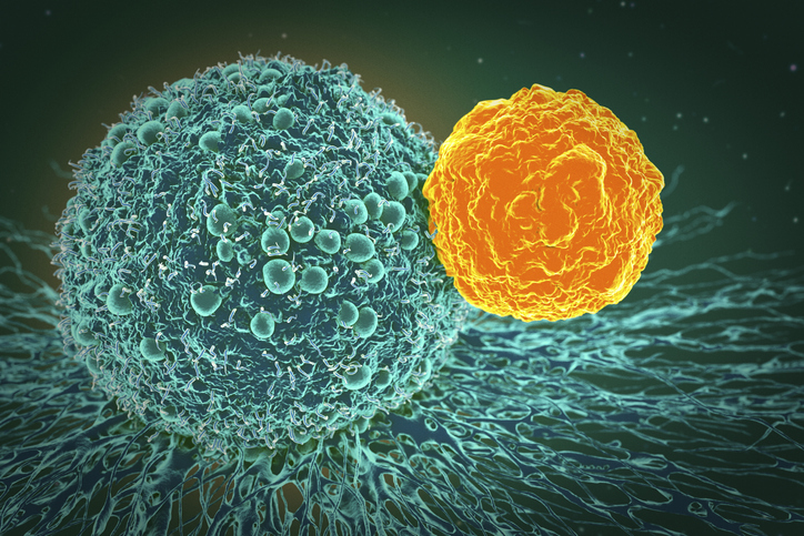 CAR T-Cell Therapy Unlocks Solid Tumors, Targets uPAR Surface Protein in Mice
