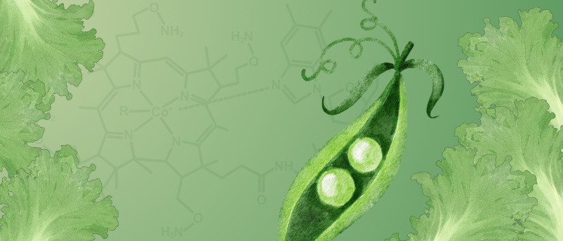 Give peas a chance: vitamin B12-fortified salad could address growing global deficiency