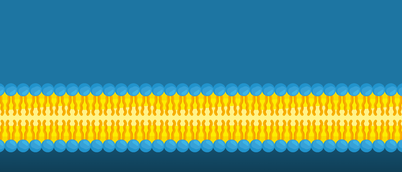Achieving novel 3D imaging of lipids with Lipid-CLEM