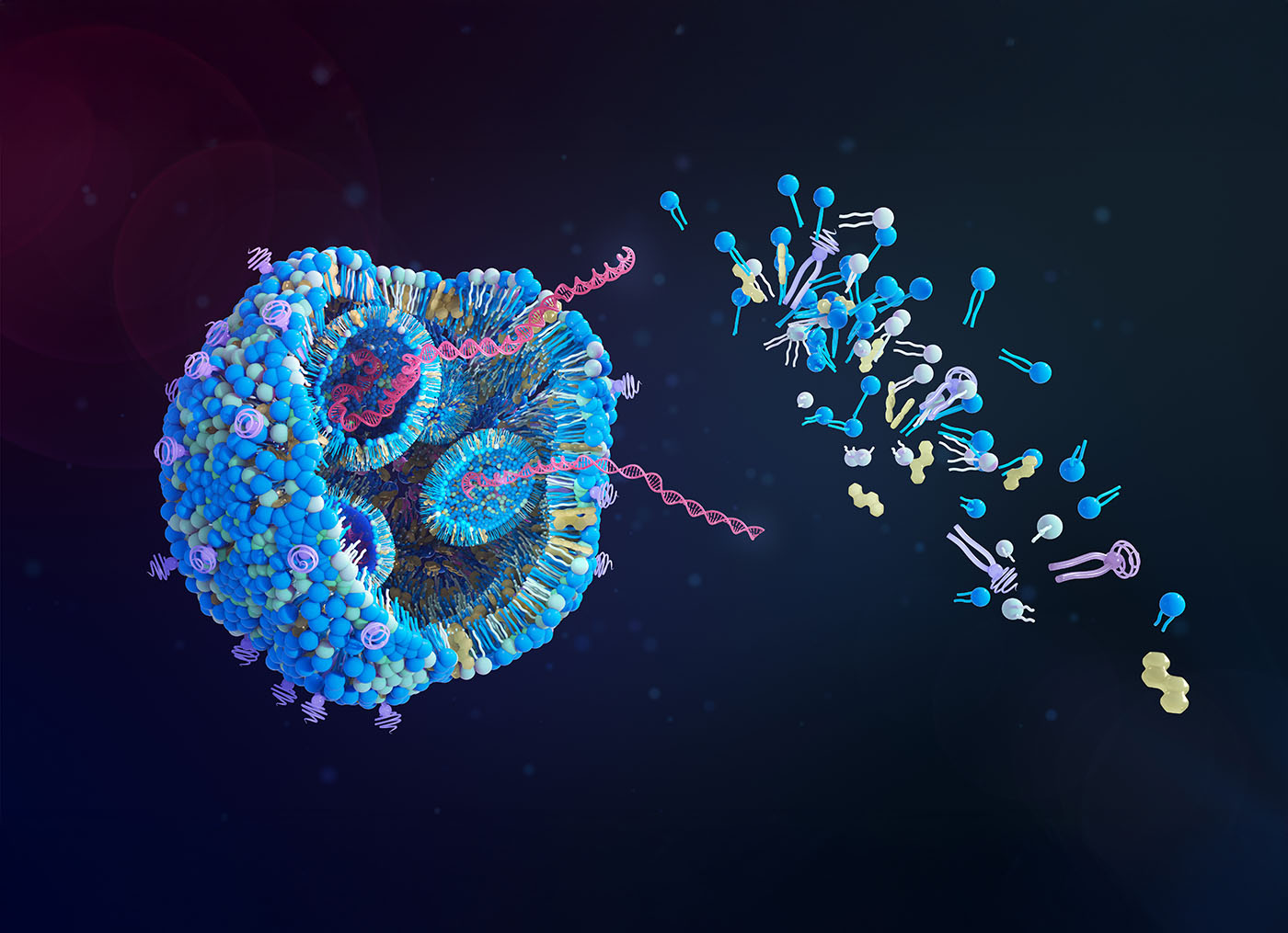 Amino Acid Cocktail Supercharges LNP Delivery for mRNA and CRISPR Therapies