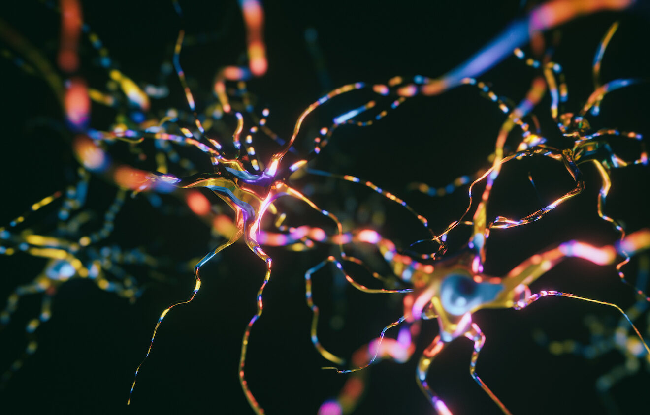 Growing Conductive Polymers Directly in the Brain