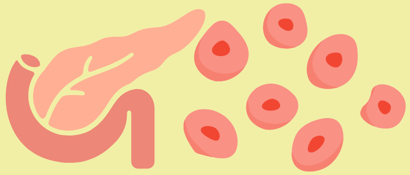 Controlling diabetes without insulin injections thanks to new implant