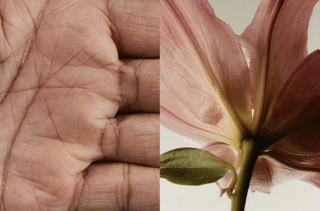 ‘We Have Never Been Individuals’