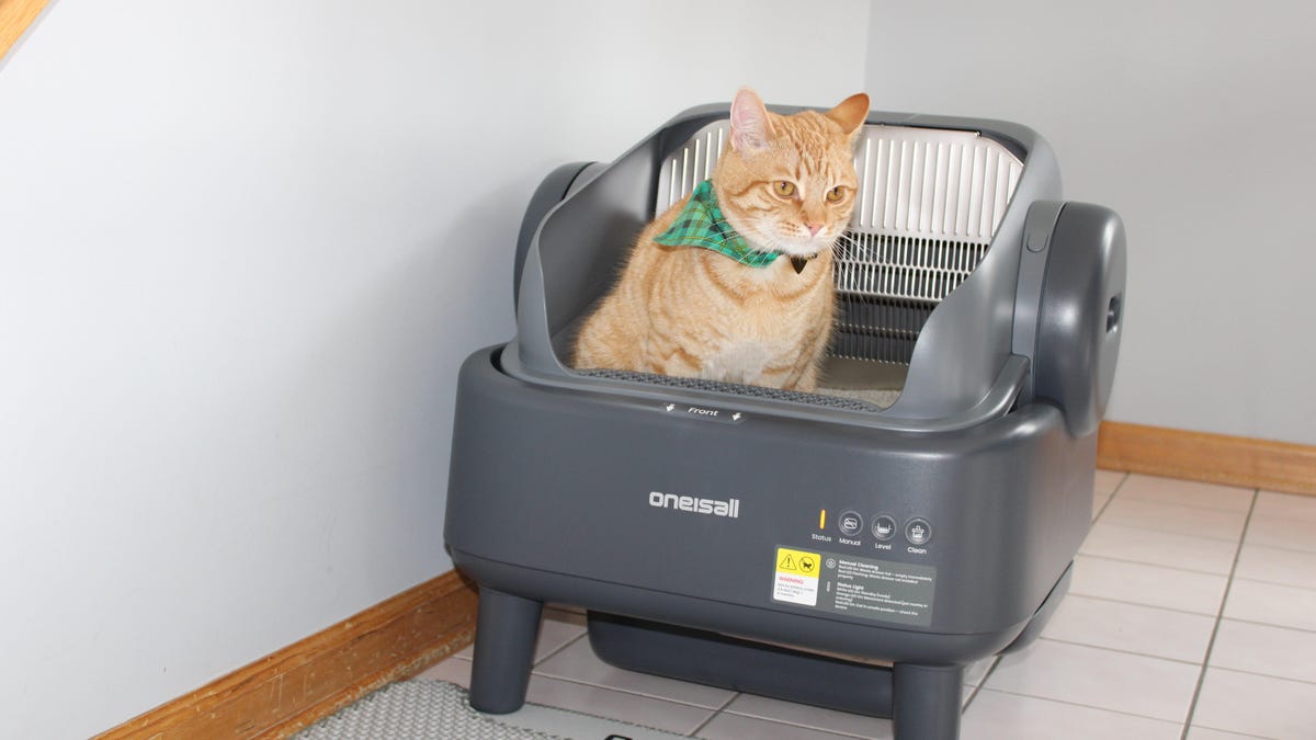 Oneisall Ease S1 review: Finally, a smart litter box that doesn't cost an arm and a paw