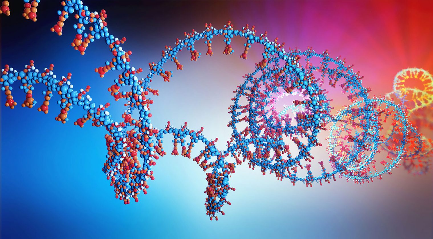 HELIX AI Model Accurately Predicts RNA Splicing, Unlocks Precision Medicine