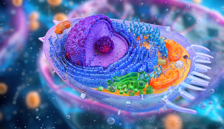 MOSAIC: Multimodal In Vivo Imaging Data Powers AI Models for Living Systems