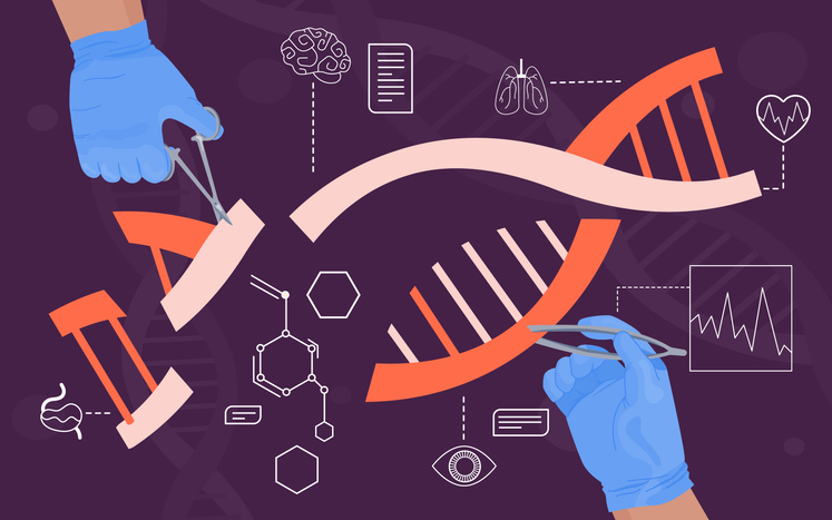 PRINCE: A Small-Molecule Switch for Safer Gene Editing