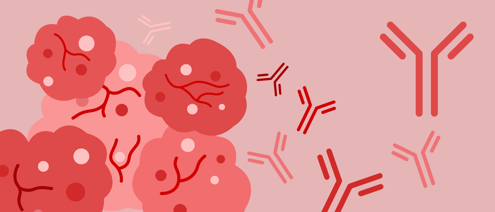 Innovative targeted protein degradation strategy suppresses tumor growth