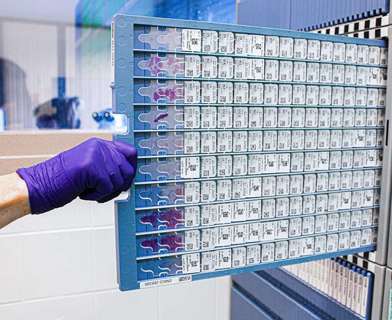 Halma acquires pathology automation specialist Dreampath